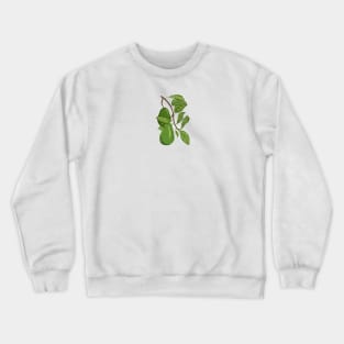 Avocado Botanical Crewneck Sweatshirt